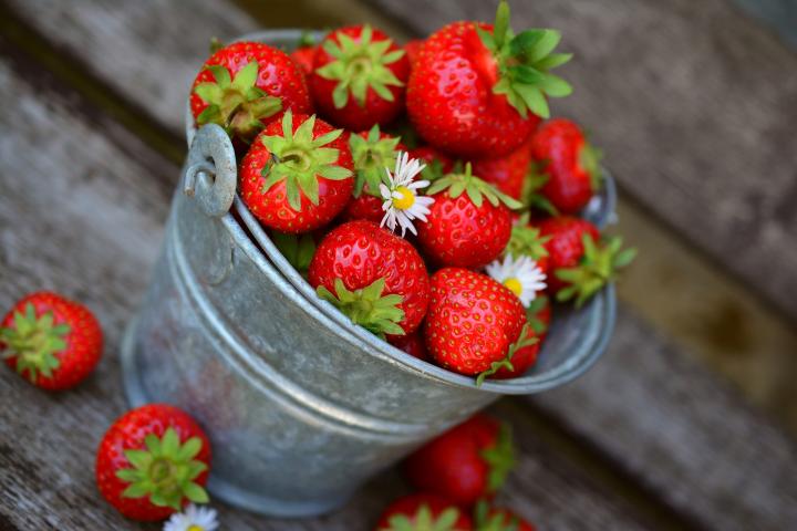 fraises-3431122_1920_full_width.jpg