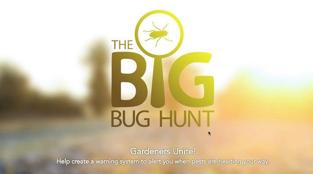 big-bug-hunt-header.jpg