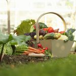 10 conseils pour les jardiniers débutants