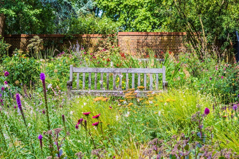 banc au milieu d'un jardin de fleurs sauvages en Angleterre 