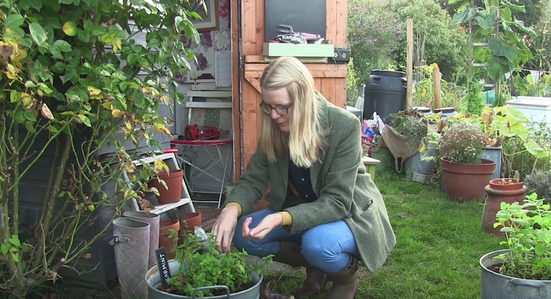 Katie de Lavender & Leeks en train de cueillir de la menthe dans son jardin