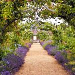 10 blogueurs qui passent en revue de magnifiques jardins à visiter