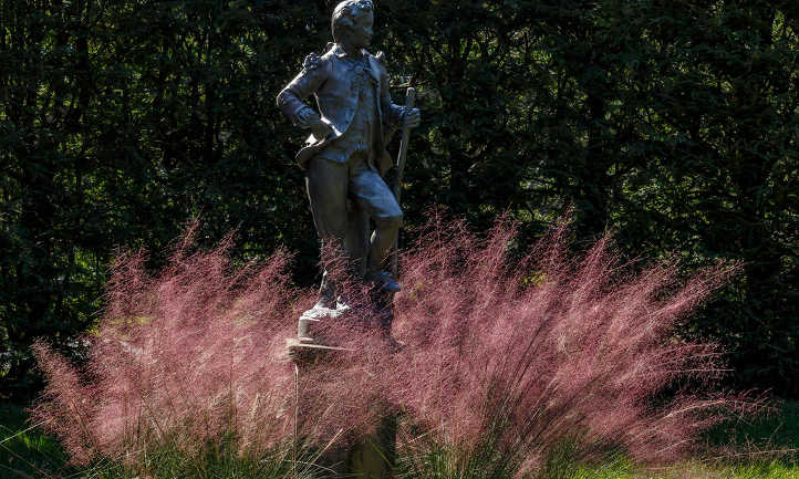 Statue avec muhlenbergia capillaris