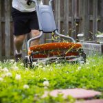 7 meilleures tondeuses à rouleau pour votre pelouse en 2020