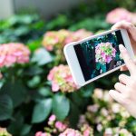 Les meilleurs conseils pour les jardins prêts pour Instagram