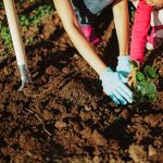 Blogs de jardinage pour toute la famille