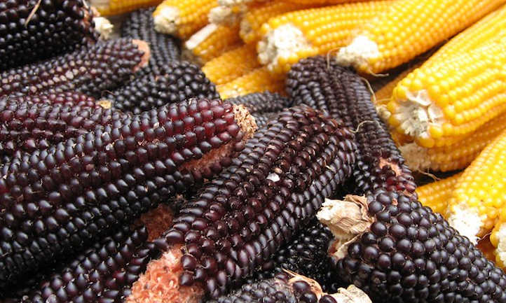 Pop corn