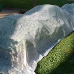 Couvre-lits surélevés: protection ultime des plantes