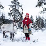 Pourquoi les rennes du père Noël sont des femmes