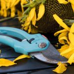 De quels outils de jardinage avez-vous besoin?