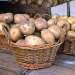 Masterclass sur les pommes de terre: meilleur contenu expert