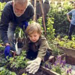 Jardiner avec les enfants : quoi planter et activités amusantes
