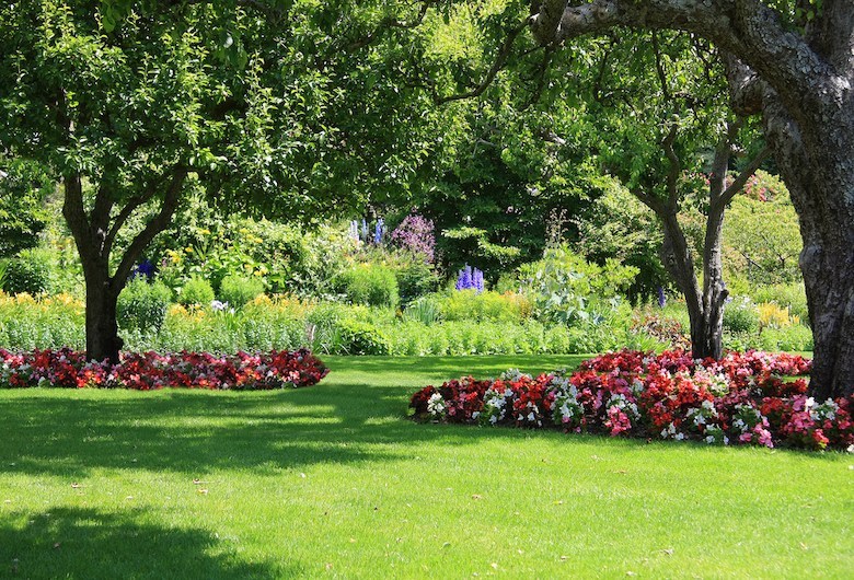 stock image d'un jardin verdoyant avec des lits, des arbres et des zones d'ombre