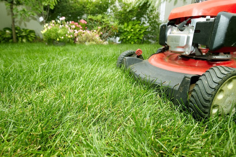 Tondeuse à gazon et couper l'herbe