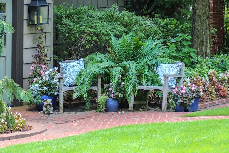 Jardin avec fougères, hostas et chaises d'extérieur