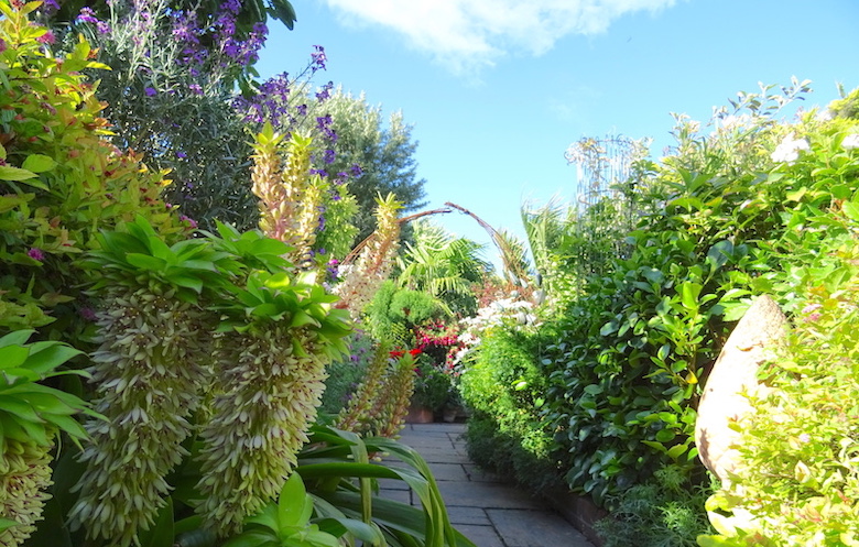 Plantation verticale à Geoff Stonebanks dans Driftwood Garden