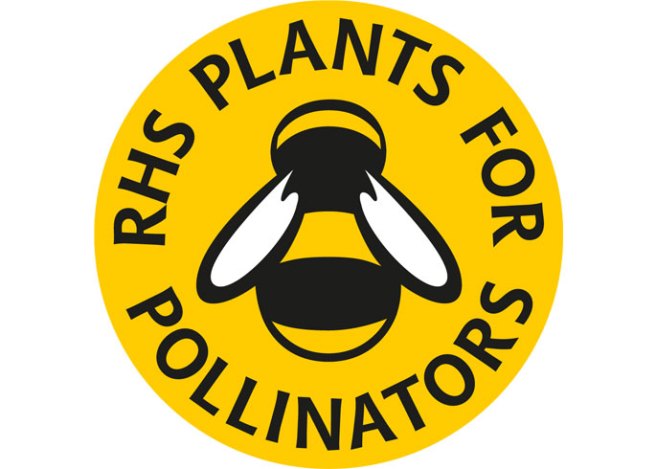 Logo des plantes RHS pour les pollinisateurs