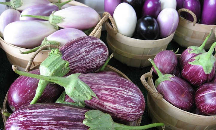 Une variété d'aubergine